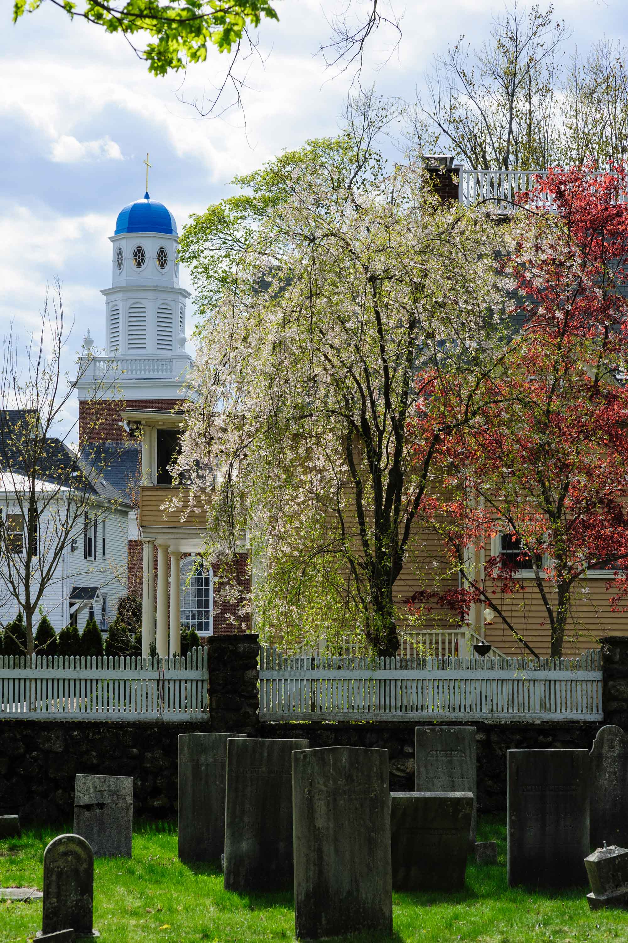 Old-Burying-Ground-istock-Dan-Logan.jpg