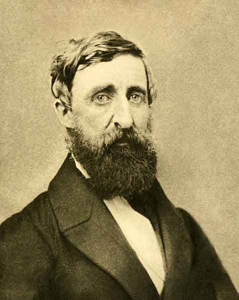 thumbnail_477px-Henry_David_Thoreau_-_Dunshee_ambro.jpg