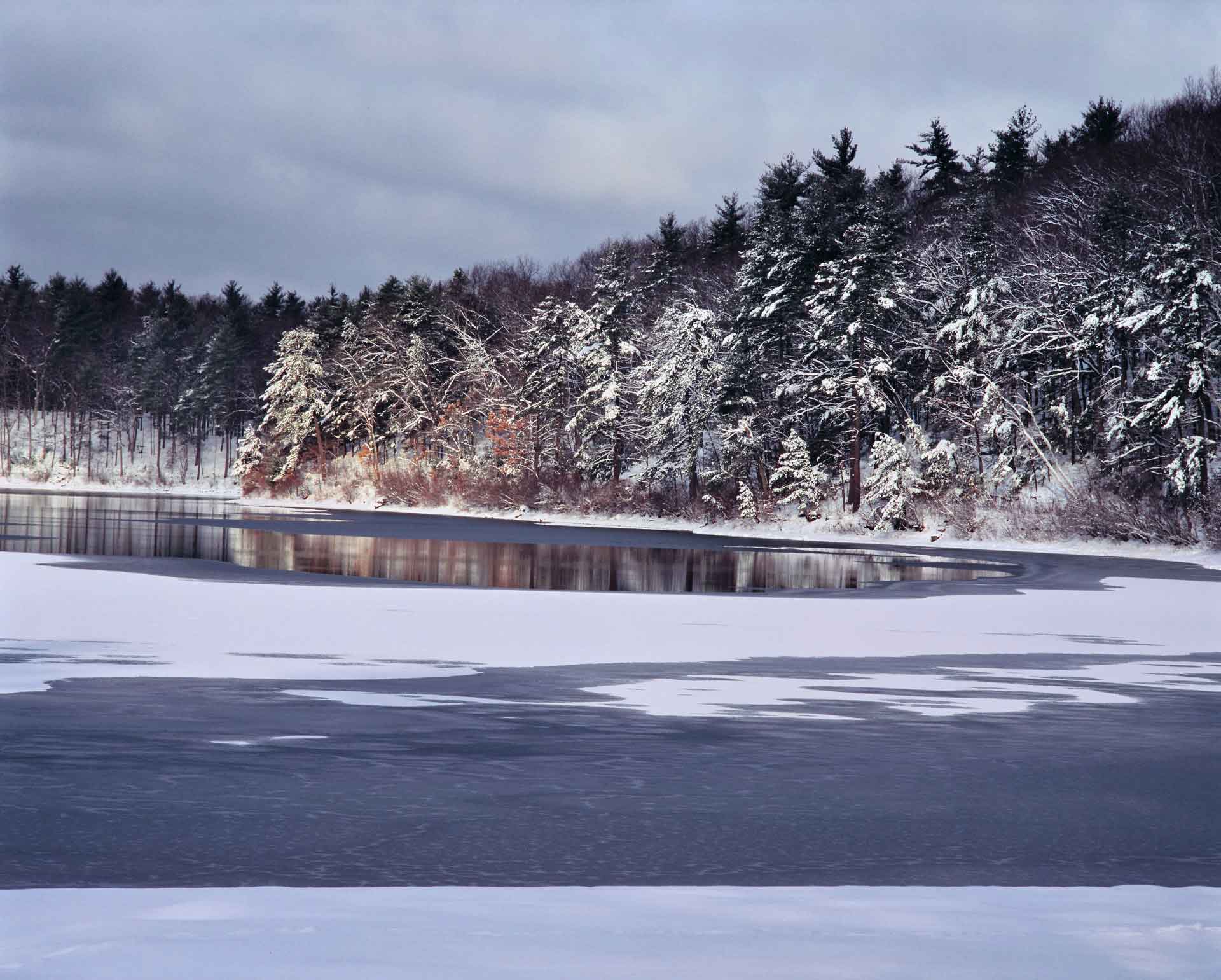 Walden-Pond.jpg