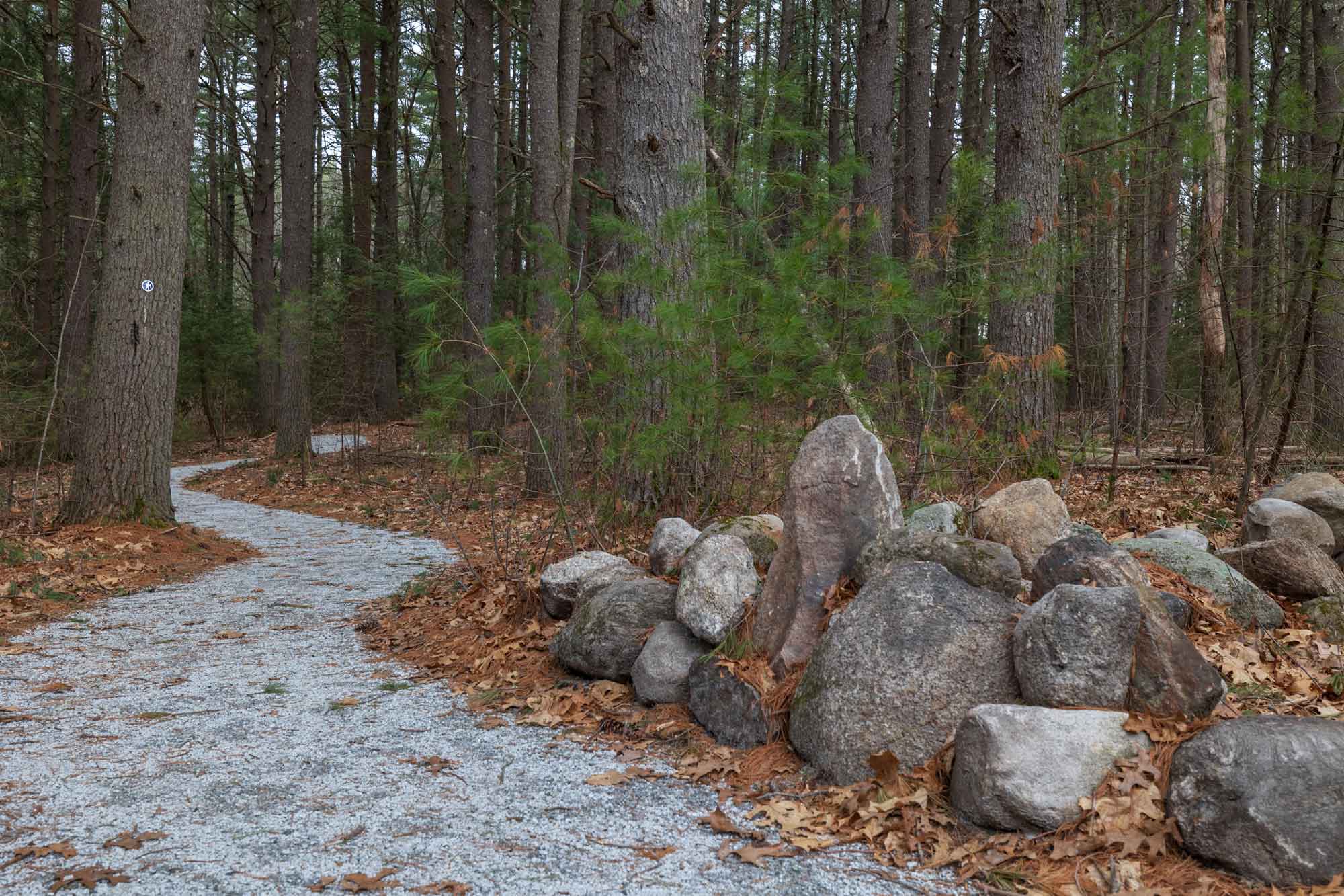 stone-walls-on-the-Fisher-Trail---credit-Mass-Audubon.jpg